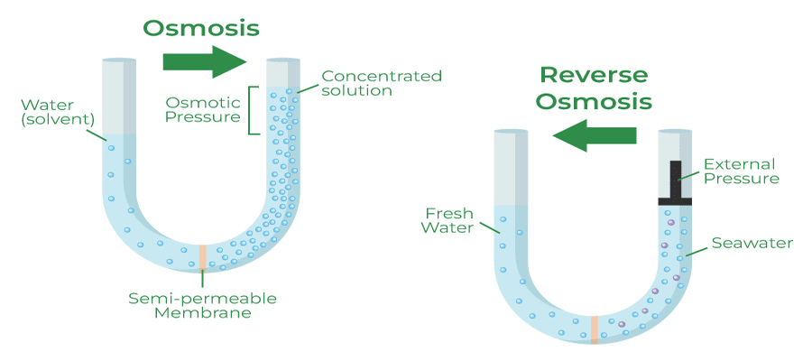 Graphic example of Osmosis and Reverse Osmosis